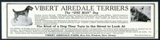 1919 Airedale Terrier 2 Dogs Photo Vibert Farm Dog Breeder Vintage Print Ad