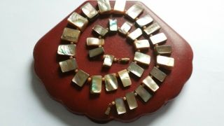 Vintage Fringe Natural Abalone Shell Bead Necklace
