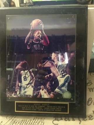 Dennis Rodman Signed/autographed 8x10 Framed And Matted Chicago Bulls 91