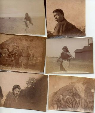 63360.  (6) Vintage 1890s Miniature Albumen Photos Japan Laborers In Fields