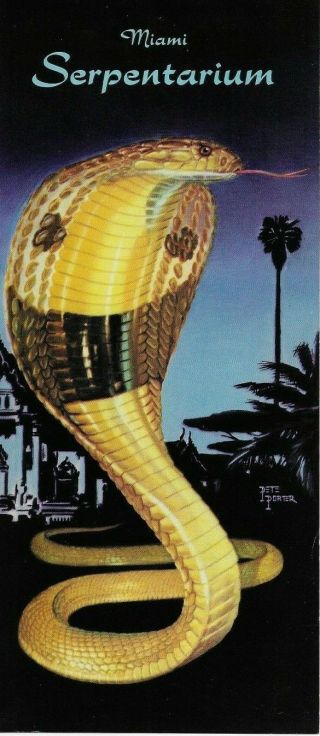 1952 Miami Serpentarium Brochure Snakes Of The World William Haast Cobra Venom