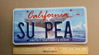 License Plate,  California,  Pacific Ocean,  Whale 