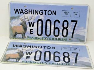 Washington Elk Tag License Plates Matching Pair Set Wildlife