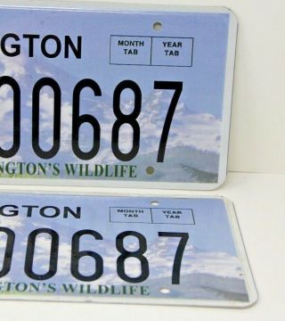 Washington Elk Tag License Plates Matching Pair Set Wildlife 3