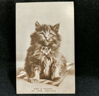 Vintage 1909 Mason Masonic Postcard Cat W/medal Sheahan 278 " On The Square "