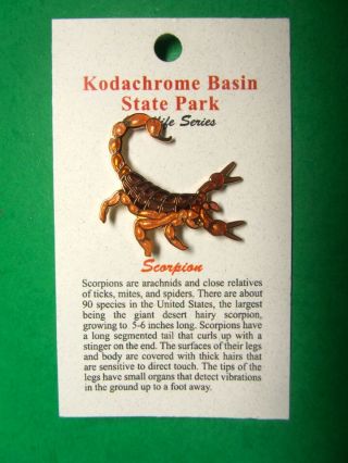 Kodachrome Basin State Park Utah Wildlife Series Scorpion Lapel Hat Pin (cm61)