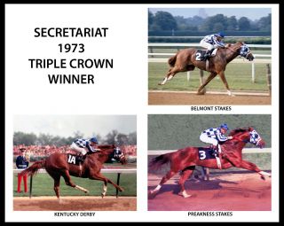 Secretariat,  1973 Triple Crown Winner,  8x10 Color Photo