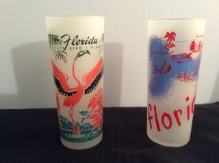 Set Of 2 Vintage 1950’s Florida Souvenir Frosted High Ball Drinking Glasses