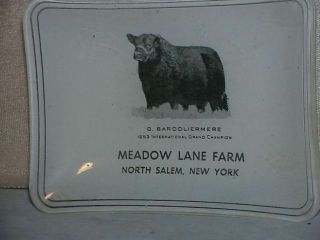1953 Prize Angus Bull Meadow Lane Farm,  North Salem,  Ny Souvenir Dish With Photo