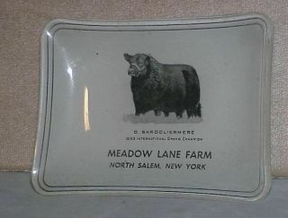 1953 Prize Angus Bull MEADOW LANE FARM,  NORTH SALEM,  NY souvenir dish with photo 2
