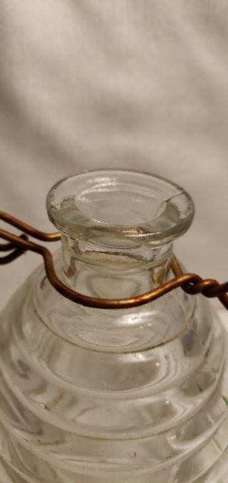 Antique / Vintage Glass Bee Wasp Catcher Trap Insect Hornet Fly 3