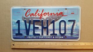 License Plate,  California,  Protect Our Coast & Ocean,  Whale 