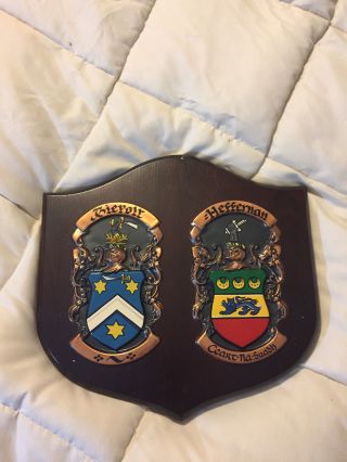 Vintage The Republic Of Ireland Wood Wooden Family Crest Plaque Wall Hanging