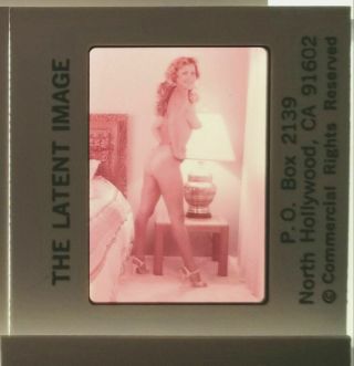 Nude 35mm Transparency Slides The Latent Image 1970s Vintage Lila Tennyson
