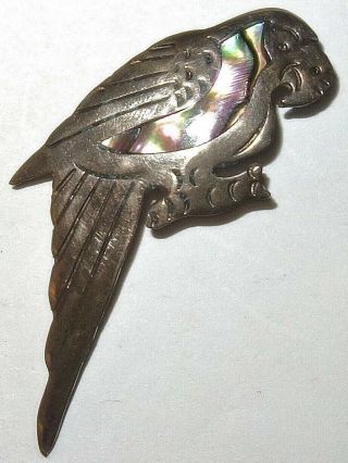 Large Vintage Mexico Abalone Sterling Silver 2 - 5/8 " Parrot Pin Brooch Signed Rm