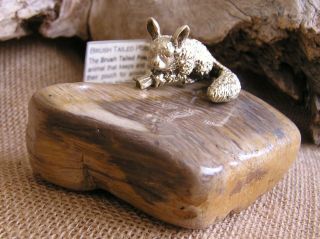 Miniature Australian Possum Handcast From Recycled Brass On Petrified Wood
