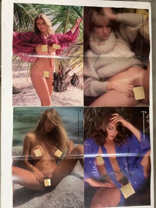 Vintage Penthouse Centerfold Pet Of The Month 1970s - 80s 2 Vintagepet Posters