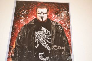 Wwe Wwf Wcw Tna Wrestling Sting Autographed Signed 11x14 Photo Jsa Authentic