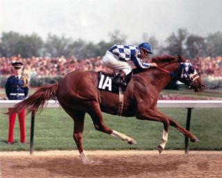 Secretariat (ron Turcotte - Up) 1973 Kentucky Derby Winner - 8x10 Color Photo