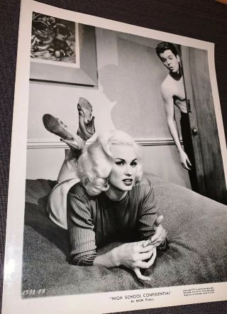 Mamie Van Doren Vintage 50’s Sexy Pin - Up,  Photograph 8x10
