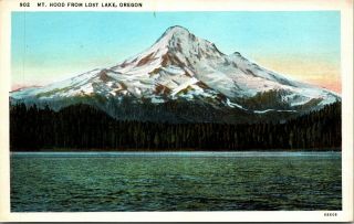 Oregon Or Lost Lake Mount Hood Reflection Postcard Old Vintage Card View Post Pc