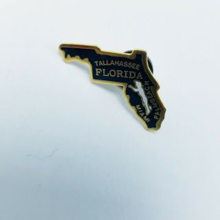 Vintage Florida Lapel Pin Miami Tallahassee Palm Beach Souvenir Pin Hat Pin Vest