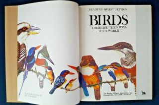 Vintage Bird Book Reader 