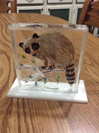Vintage Reverse Carved And Painted Clear Lucite Raccon Heavy Block Figure