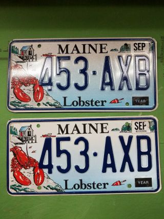 Pair Maine Lobster License Plates 453 - Axb