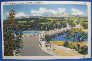 Vtg Santa Ana River Bridge Riverside Ca Colorized Photo Print Postcard Tichnor