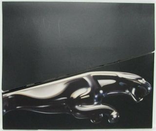2000 Jaguar Press Kit - Xkr S - Type Xjr Vanden Plas Xk8 Xj8