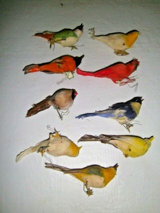 6 Vintage Dexter Birds For Lee Wards Feather Birds Wired Feet,  3 With Damage