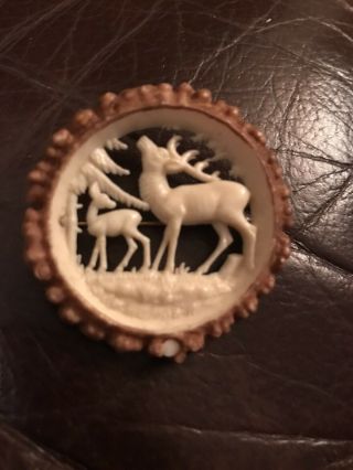 Vintage Jewellery Carved Celluloid Scottish Stag/deer Brooch Pin Lovely