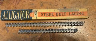 Vintage Open Box Of Alligator Steel Belt Lacing,  15e