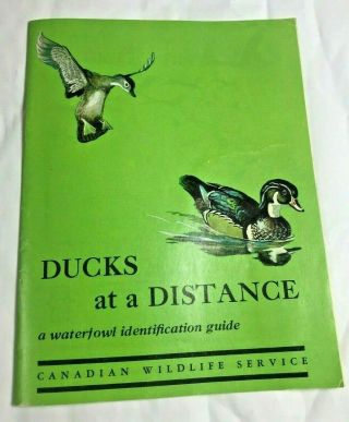 1965 Ducks At A Distance A Waterfowl Identification Guide Vintage Bird Watching.