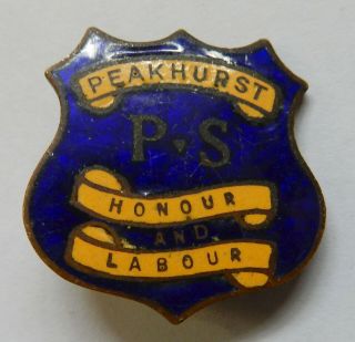 Vintage Enamel School Badge.  