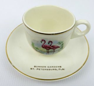 Vintage Pink Flamingo Sunken Gardens St.  Petersburg Florida Souvenir Cup Saucer