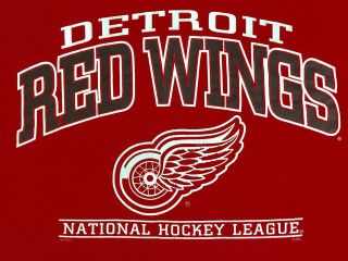 Vintage Lee Sport Detroit Red Wings T - shirt Large L 2