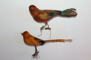 2 Vintage Feathered Spun Cotton Brown Birds,  Wired Feet Crafts