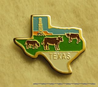 Texas State Shaped Lapel Pin Tx Dallas Houston Ft.  Worth Galveston San Antonio