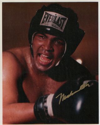 Muhammad Ali " Autographed " 8x10 Color Photo Great Pose Everlast Head Gear
