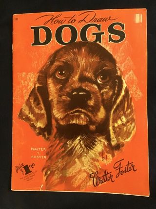 Vintage How To Draw Dogs By Walter Foster