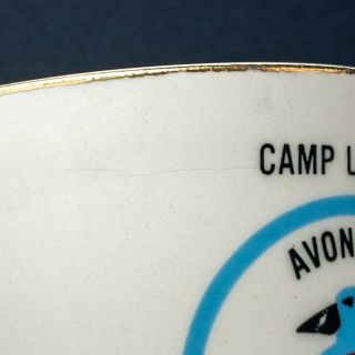Vintage 1980s Boy Scout Mug Camp Leader Avondale Scout Reservation BSA 211 2