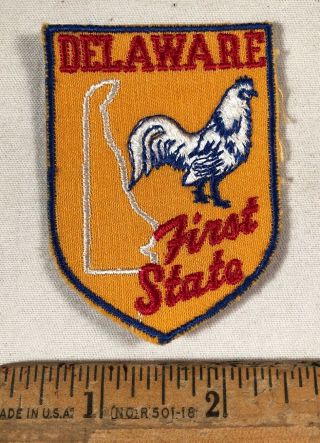 Vintage Delaware First State Travel Souvenir Patch Voyager