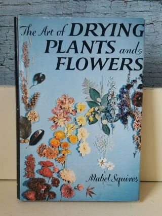 The Art Of Drying Plants And Flowers By Mabel Squires Vintage Hard Cover 1958