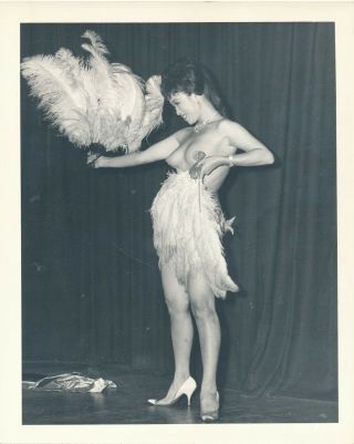N21 Vintage Sexy Photo - 1950 