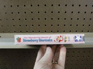 VHS Rare Video Tape The Wonderful World Of Strawberry Shortcake Vintage 3