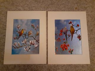 Vintage Two (2) Dufex Foil Art Print Parakeets Birds Made In England