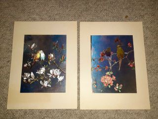 VINTAGE TWO (2) DUFEX FOIL ART PRINT Parakeets birds Made in ENGLAND 2