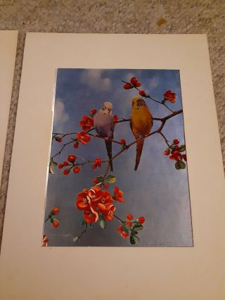 VINTAGE TWO (2) DUFEX FOIL ART PRINT Parakeets birds Made in ENGLAND 3